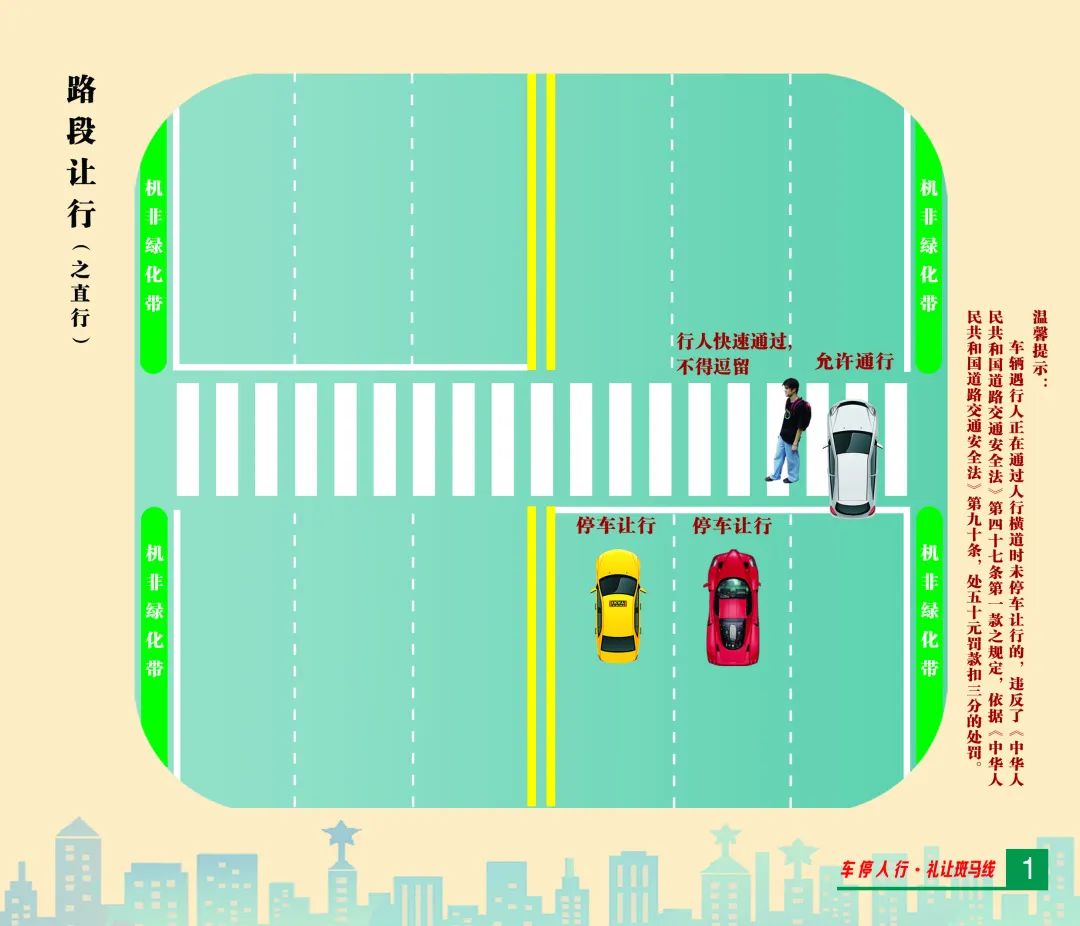 说起这个,机动车礼让行人规则,来一起看看吧!