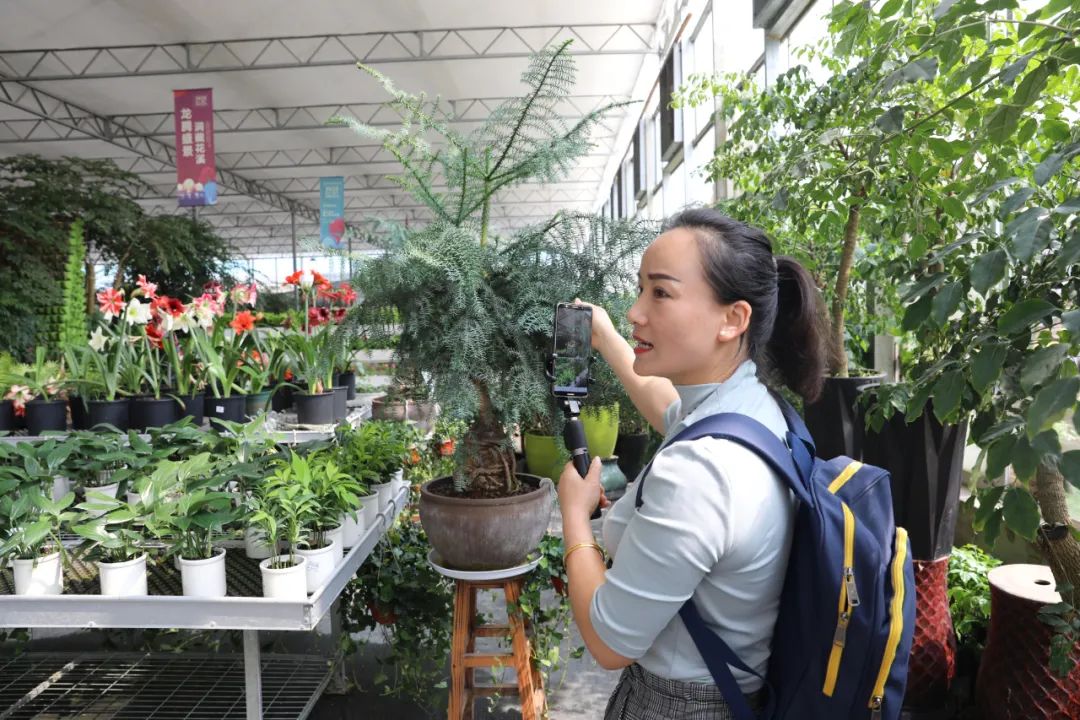 花儿俏,村民笑!听莲花镇东塘村的小康故事