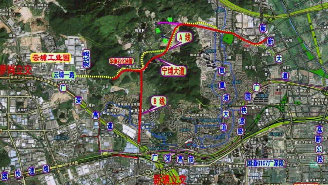 向塘镇2020年GDp_2020-2021跨年图片(3)