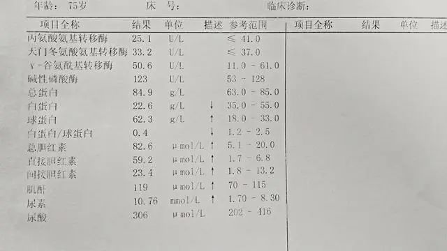 610.jpg