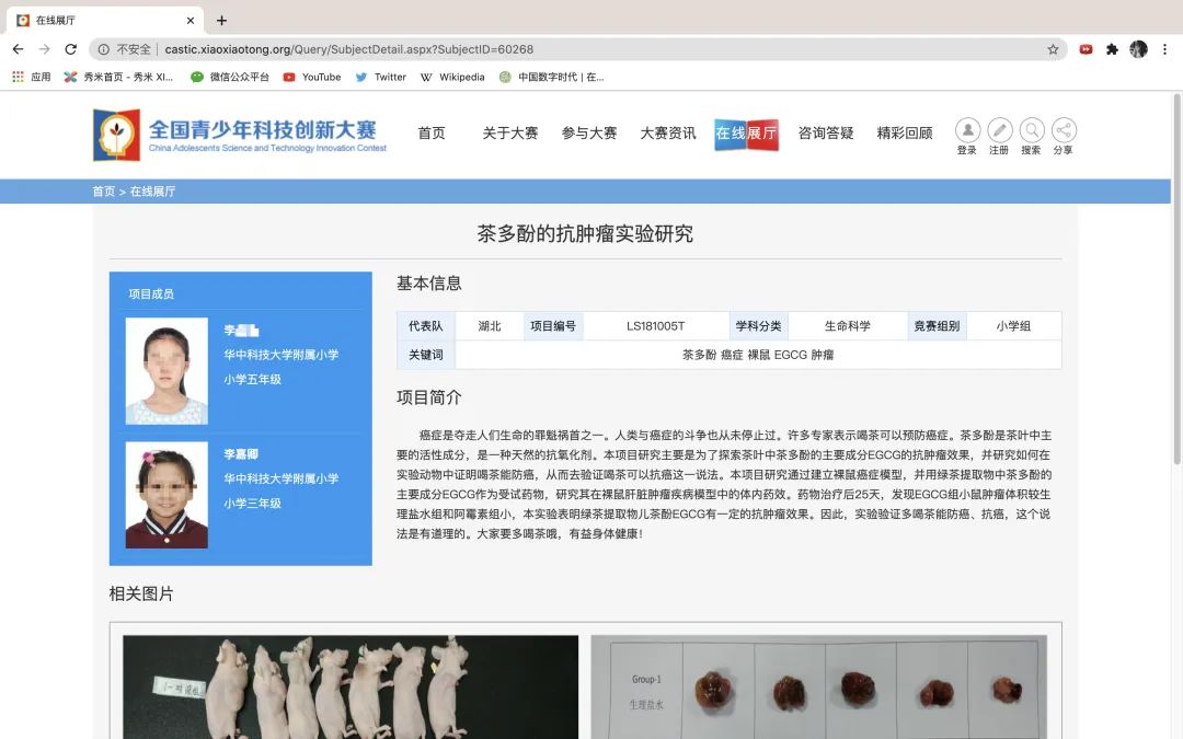 小学生研究茶多酚抗癌 专家 创新性很一般 政务 澎湃新闻 The Paper