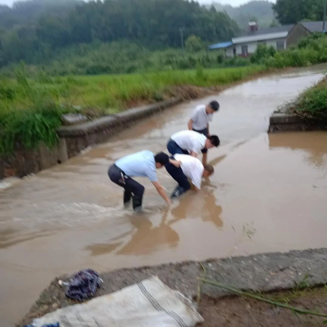 固始罗集村人口_河南固始蒋集黄冈(2)