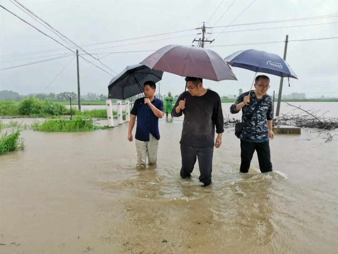 固始罗集村人口_河南固始蒋集黄冈