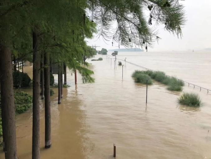 多地一级响应这里5小时内连升三级