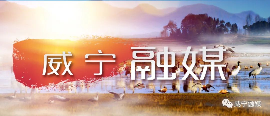 2020年安顺事业单位_镇宁自治县2020年事业单位面向社会公开招聘2020年应