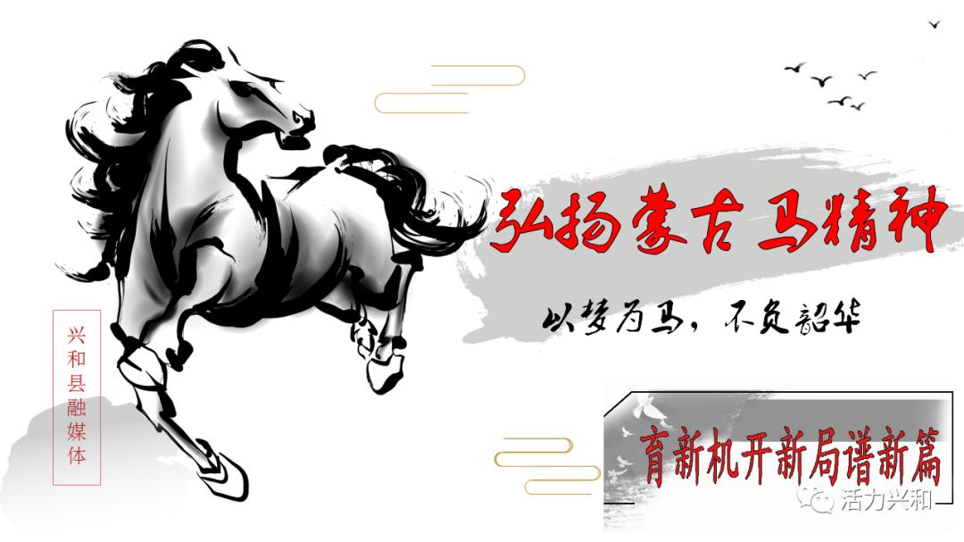 弘扬蒙古马精神育新机开新局谱新篇玉米深加工项目落地兴和县民族团结