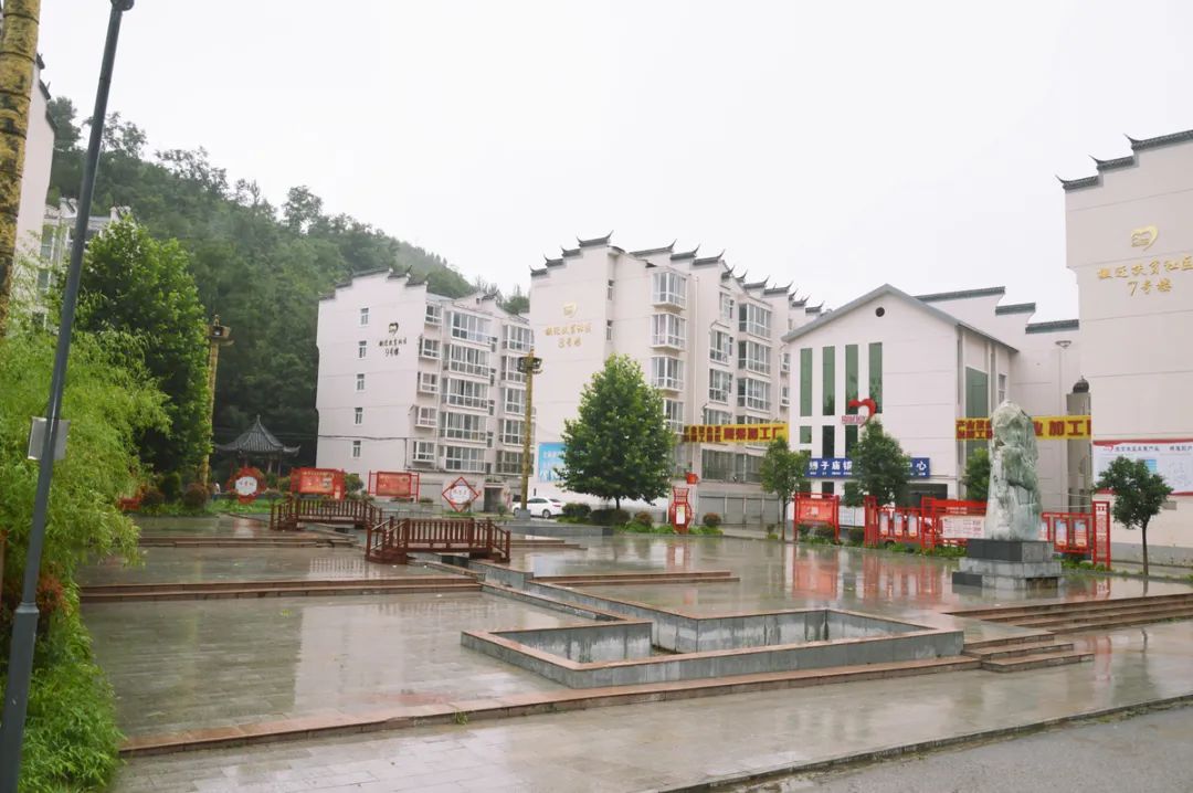 拔穷根挪穷窝强产业换新颜河南省洛阳市栾川县狮子庙镇金河湾社区典型