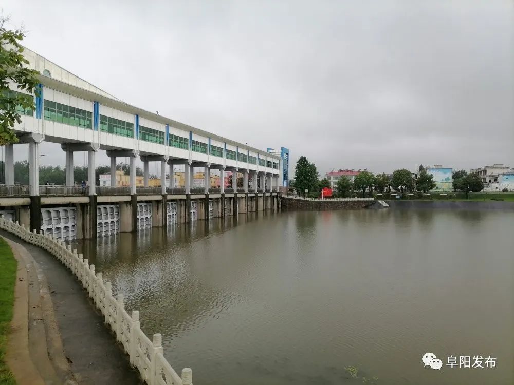 现场直击王家坝闸多图视频