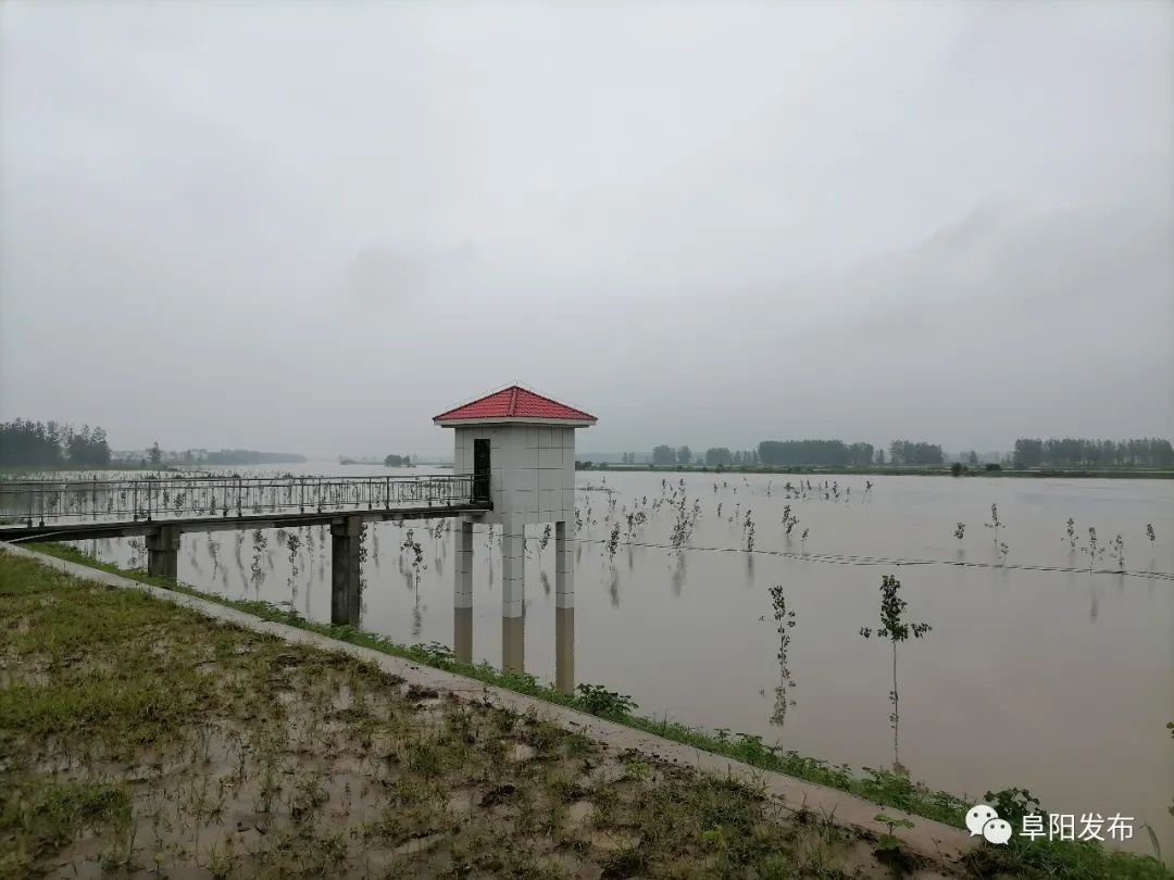 现场直击王家坝闸多图视频