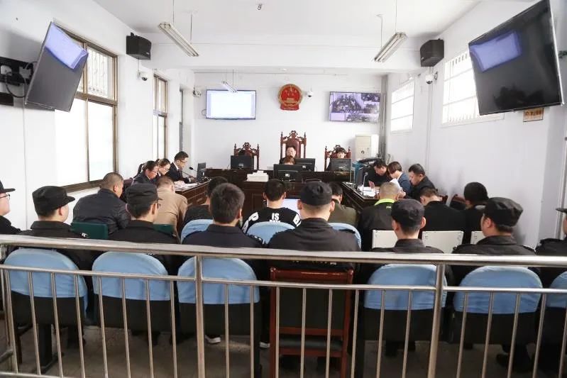 决胜扫黑除恶收官年丨南乐县法院扫黑除恶专项斗争典型案例之蔡某林