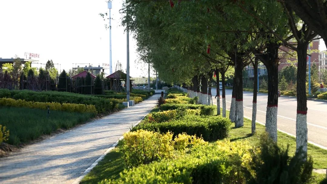 和林格尔县文明花开正当时