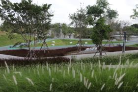 厦门新增1座“黑科技”公园:地板会发光、全息投影,还能...... 行业资讯 第8张-动画班