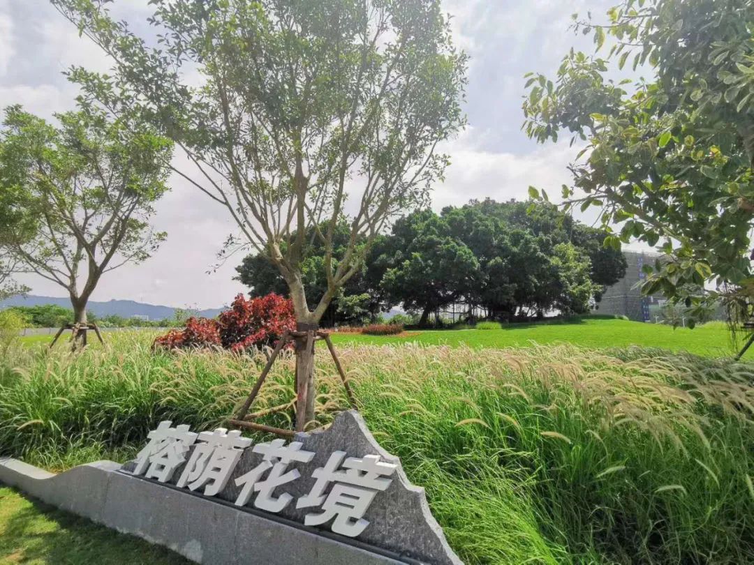 厦门新增1座“黑科技”公园:地板会发光、全息投影,还能...... 行业资讯 第12张-动画班
