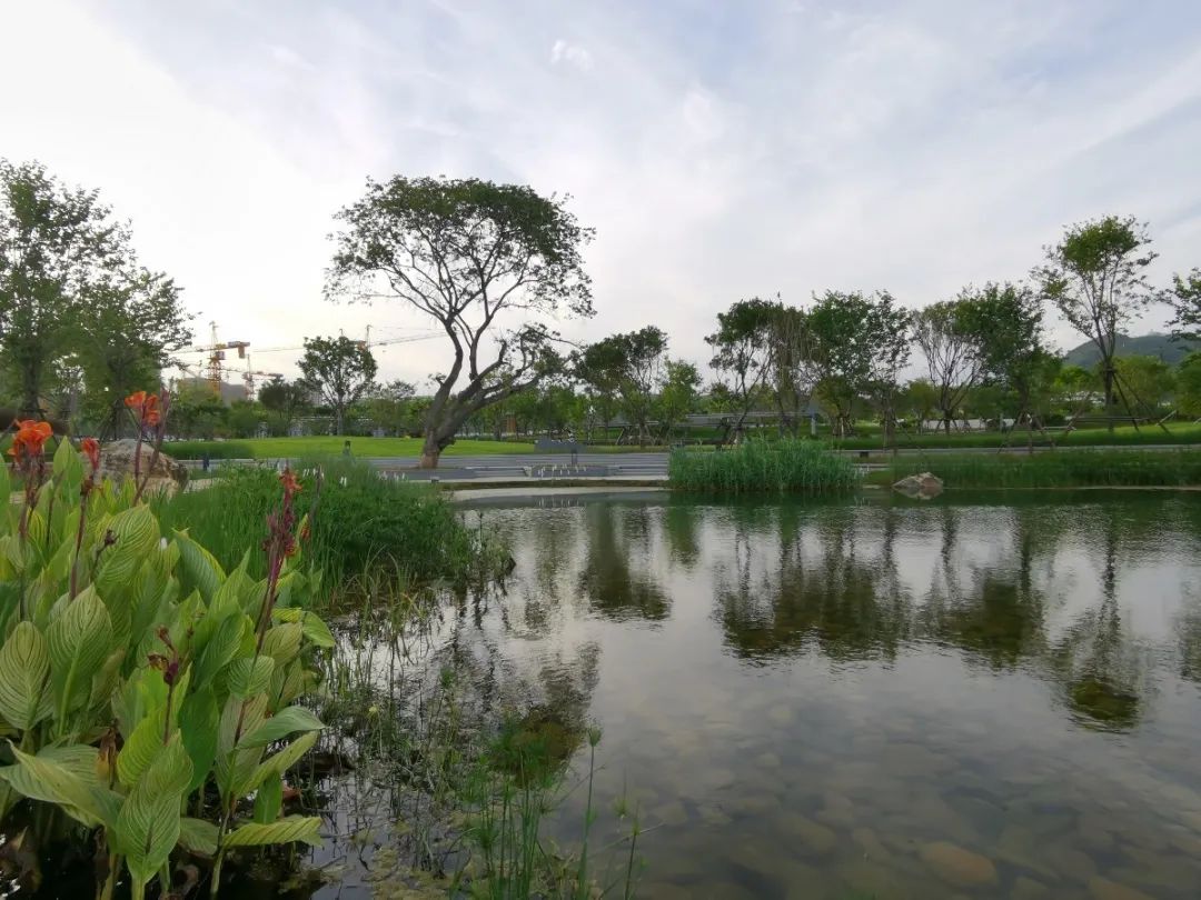 厦门新增1座“黑科技”公园:地板会发光、全息投影,还能...... 行业资讯 第6张-动画班