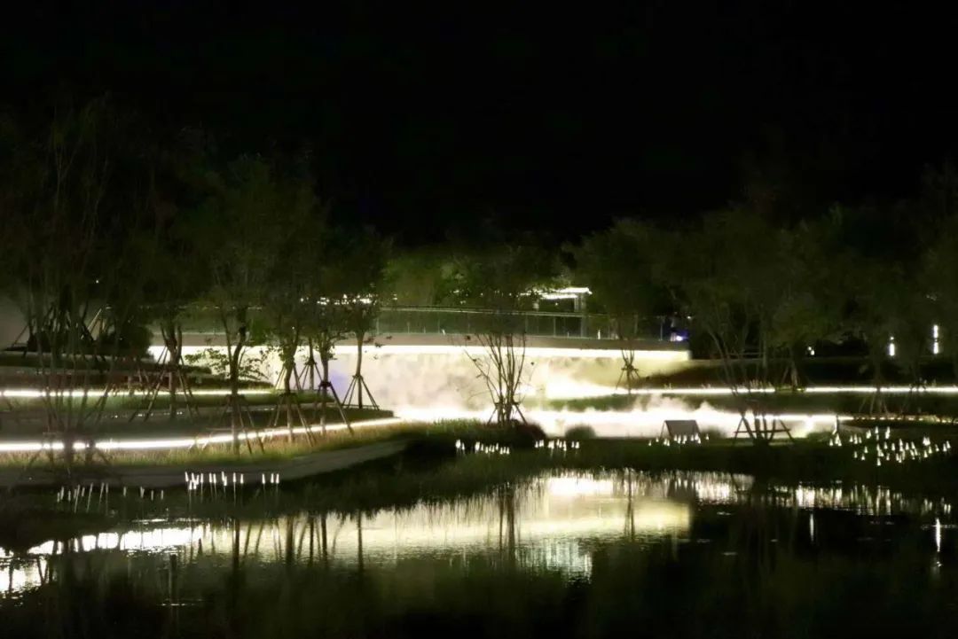 厦门新增1座“黑科技”公园:地板会发光、全息投影,还能...... 行业资讯 第19张-动画班