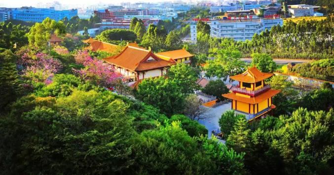 厦门新增1座“黑科技”公园:地板会发光、全息投影,还能...... 行业资讯 第27张-动画班