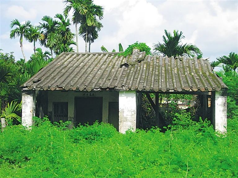 海南岛三亚市有个古老的崖州城,崖州城外有个灵气十足的水南村,水南村