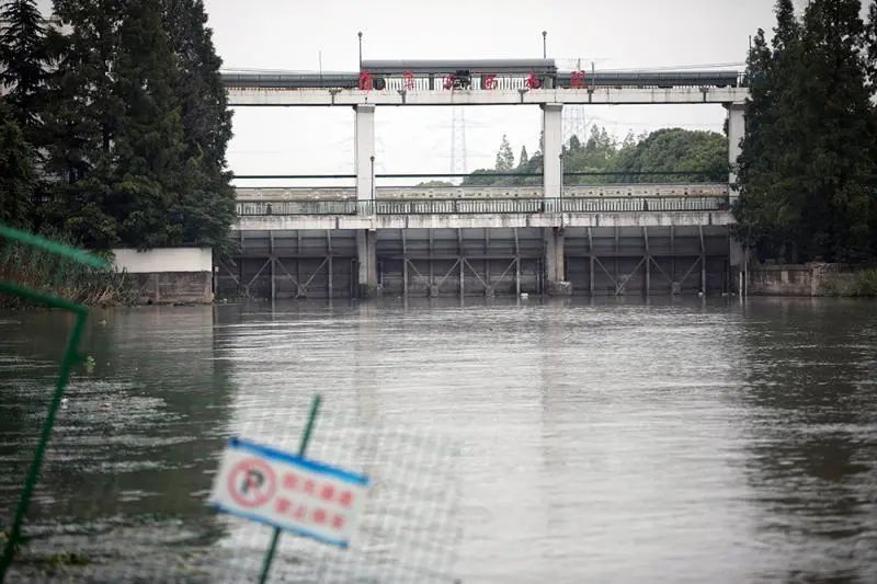 为防洪解压嘉定蕰西水闸3孔全开排放吴淞江上游来水