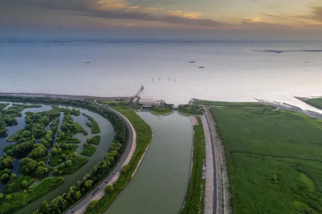 崇明本岛30万户居民离不开的ta,你是不是还没见过真貌?