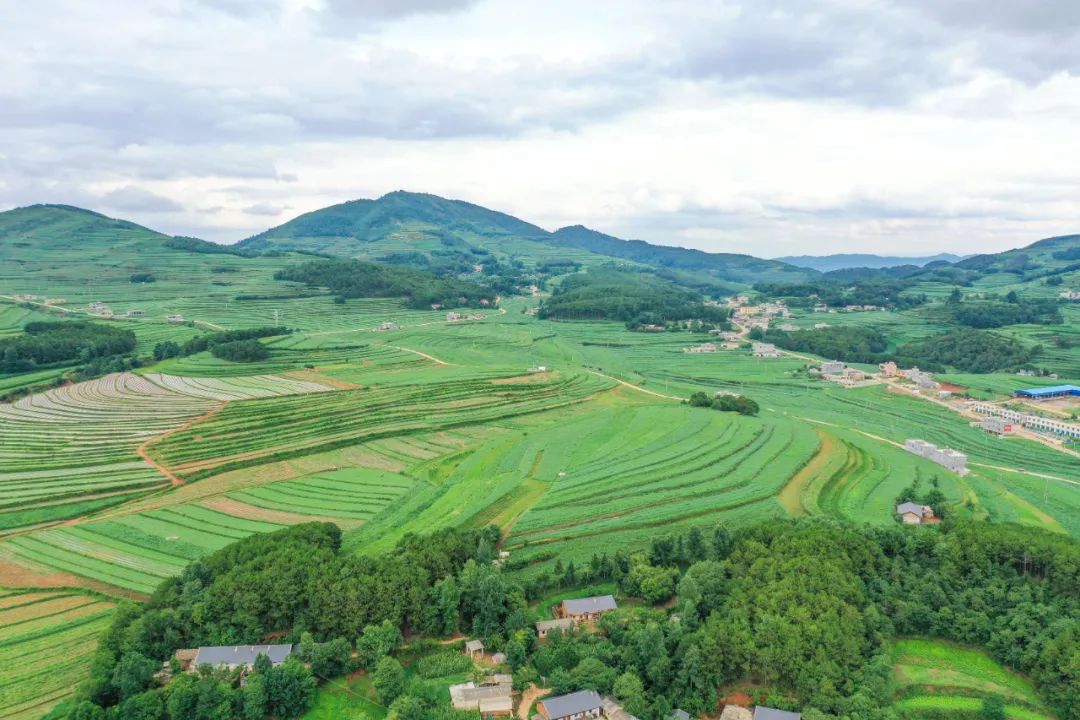 推进产业结构调整麻乍镇有一套