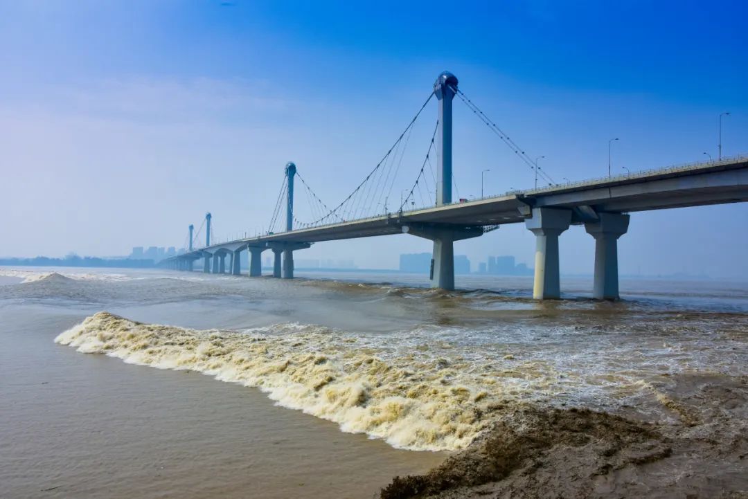徐晖 摄2008年底通车的钱江九桥是国内罕见的空间缆自锚式悬索桥,它是