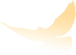 2020第一季度泗阳县g_秋天的第一杯奶茶图片