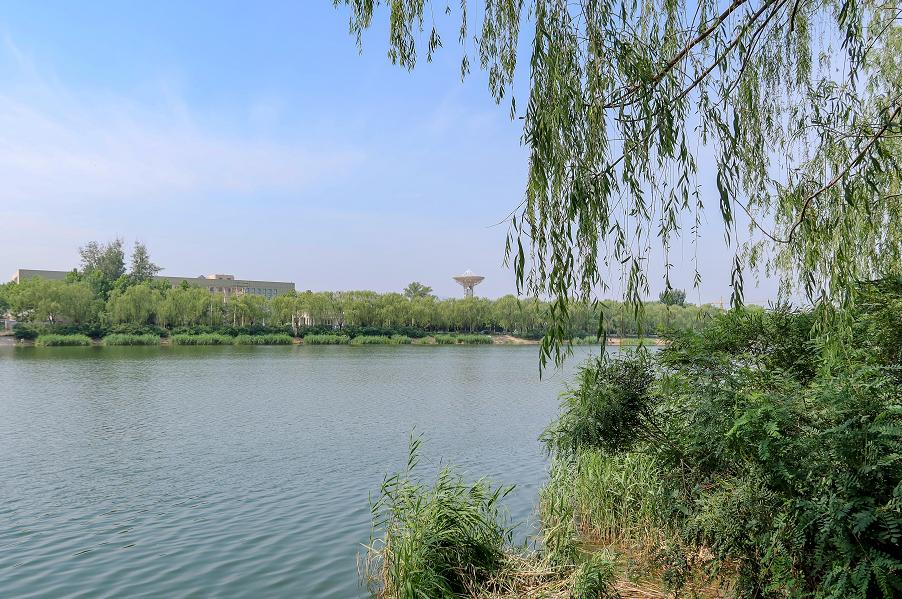 清晨,迎着朝阳慢跑在大寨渠变身的滨水公园带着美好心情开启新的一天