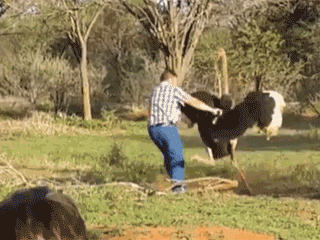 说我躲沙子里?我踢死你