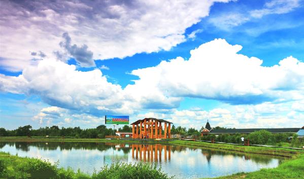 乌伊岭湿地公园染尽繁华的盛夏绿郁葱葱的世界精彩的活动,森林里的