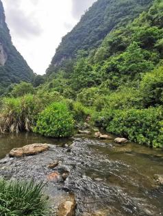 嚮往的生活李資村地處水田鎮東南部,轄區環境優美,水資源豐富,相思河