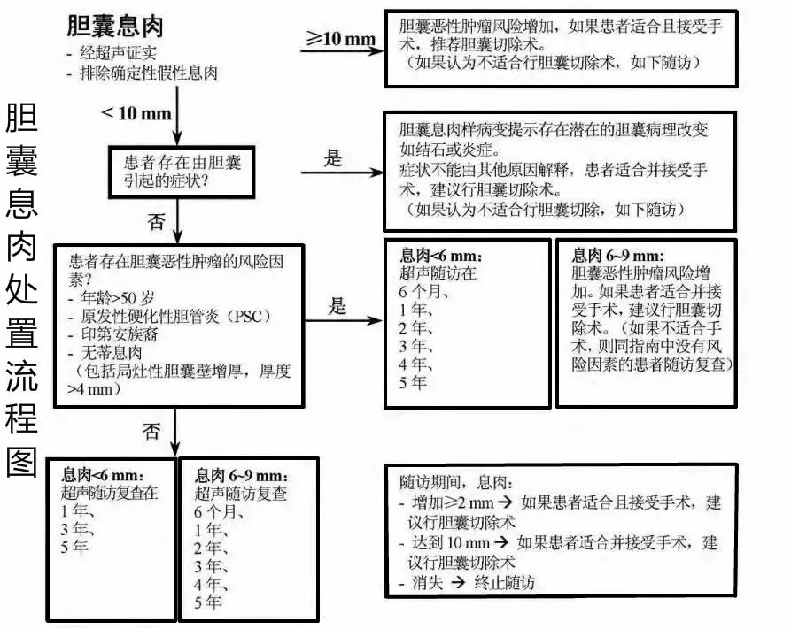 医生 我得了胆囊息肉 该怎么办