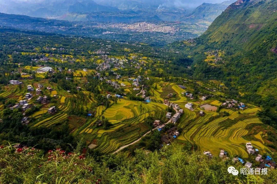 双凤梯田位于永善县城的溪洛渡镇双凤村