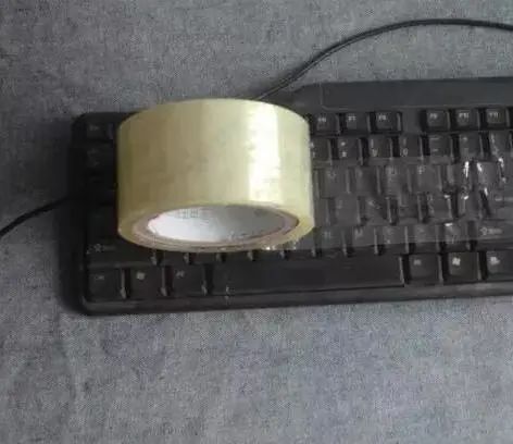 310.jpg