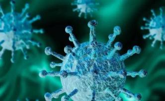 人IgG中和单克隆抗体可阻断SARS-CoV-2感染 | 对话科学家