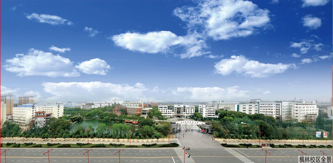 905.jpg