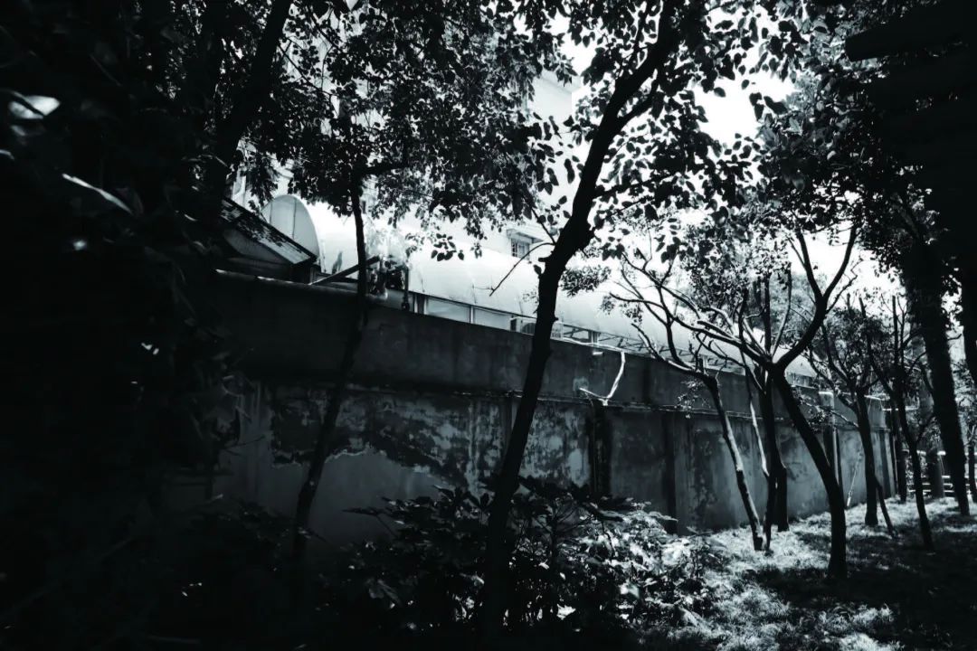 933.jpg
