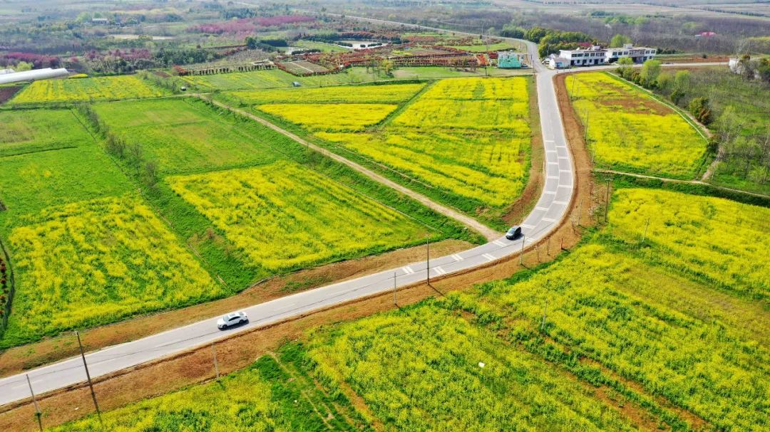 云端打卡共品花香南岗镇启动2020骑游大会之云游南岗活动