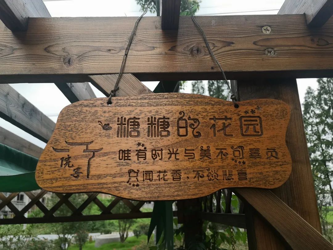 优美庭院 花木点缀飘香四溢 绿色生活乐享乡村