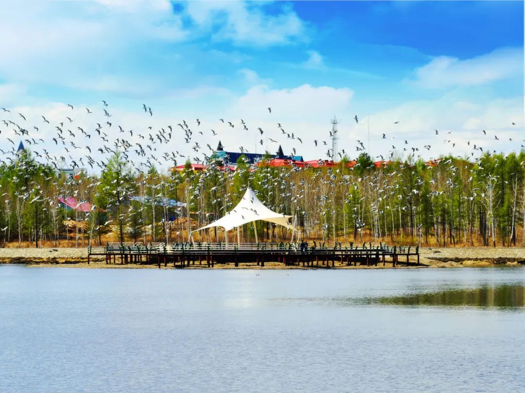 中国最美小镇韩家园林业局着力提升森林资源保护管理水平