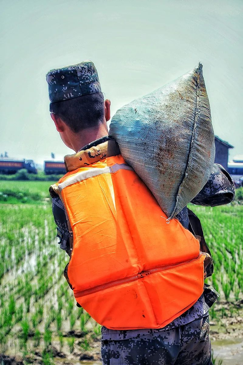 张志标搬运沙袋的背影副班长张志标,在平常的工作中他就踏实肯干,在