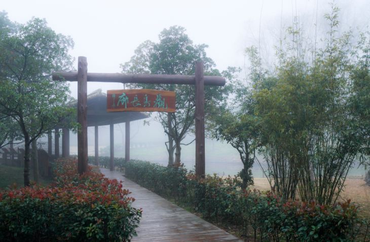 园内的观鸟长廊