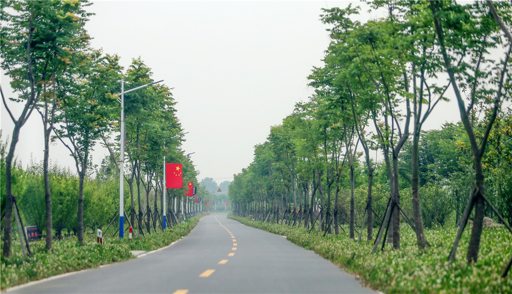 东进村农路平坦整洁.朱其 摄