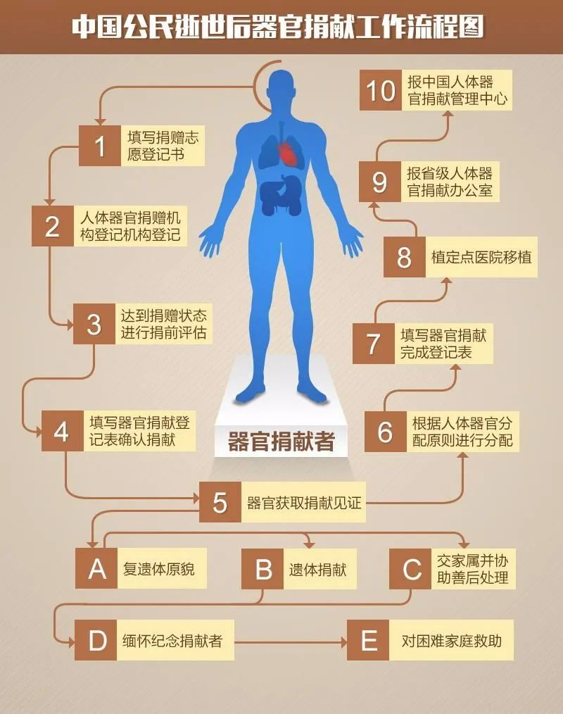关于人体器官捐献你想知道的都在这里
