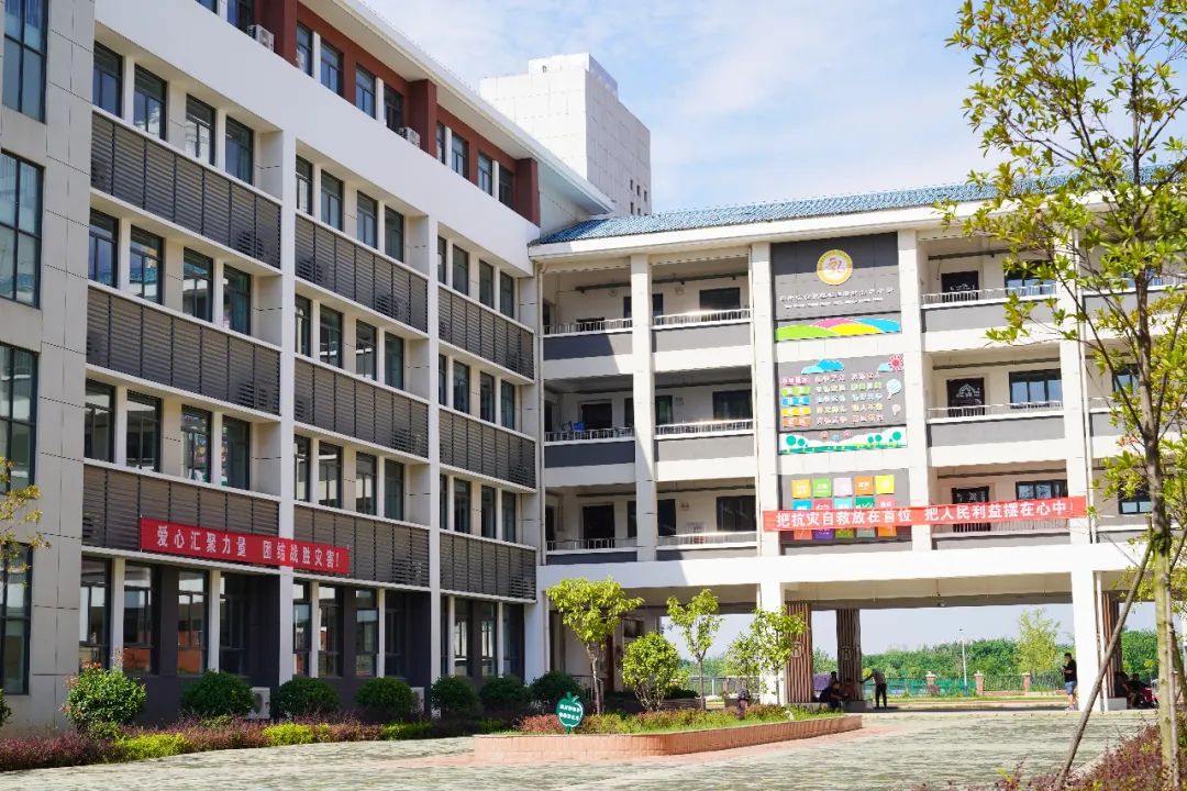 洪魔无情他们给您关爱