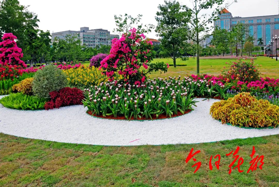 多图好美哦花都广场丽容初现计划8月向市民开放