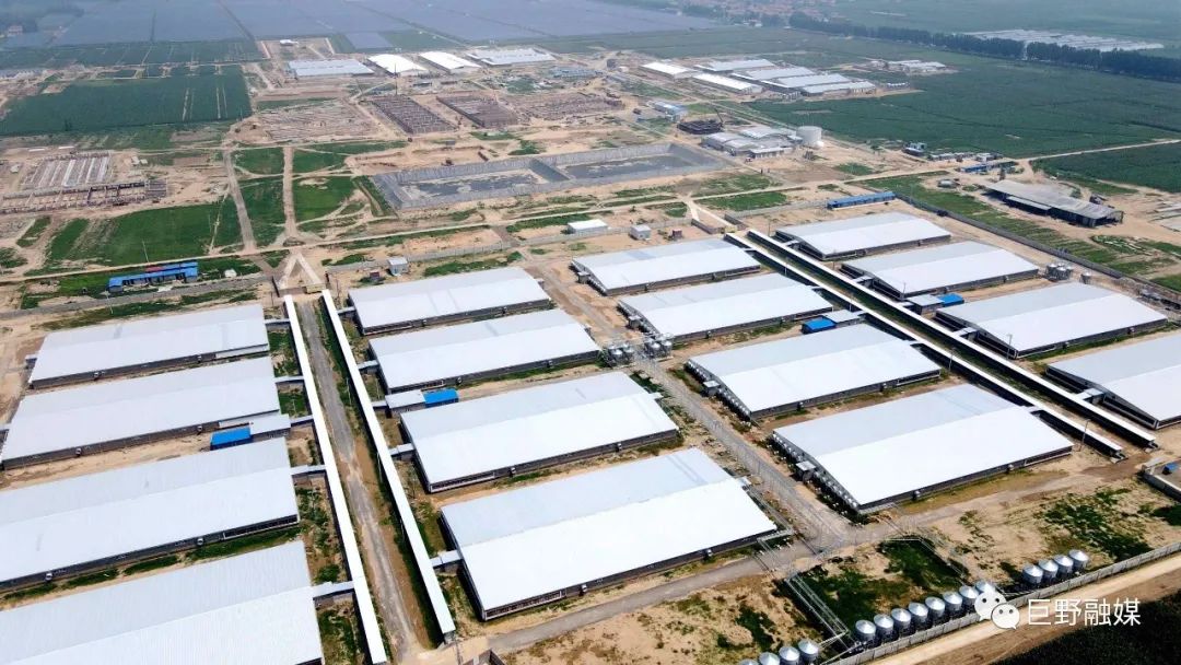 巨野gdp_巨野金山(2)