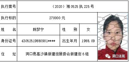 湖南洞口人口多少_湖南洞口美景(2)