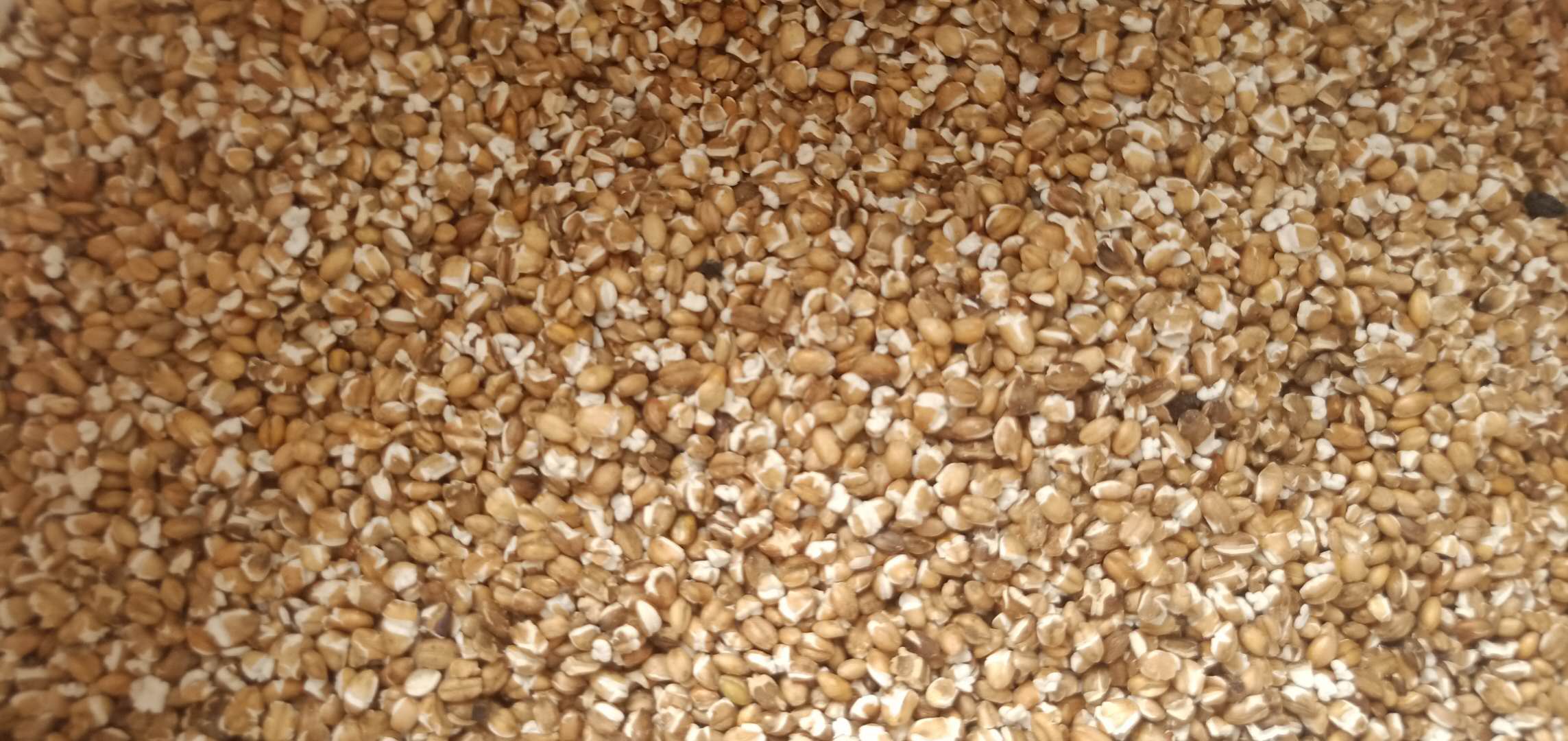 山南哈鲁岗村合作社传统水磨工艺磨出闻名好糌粑