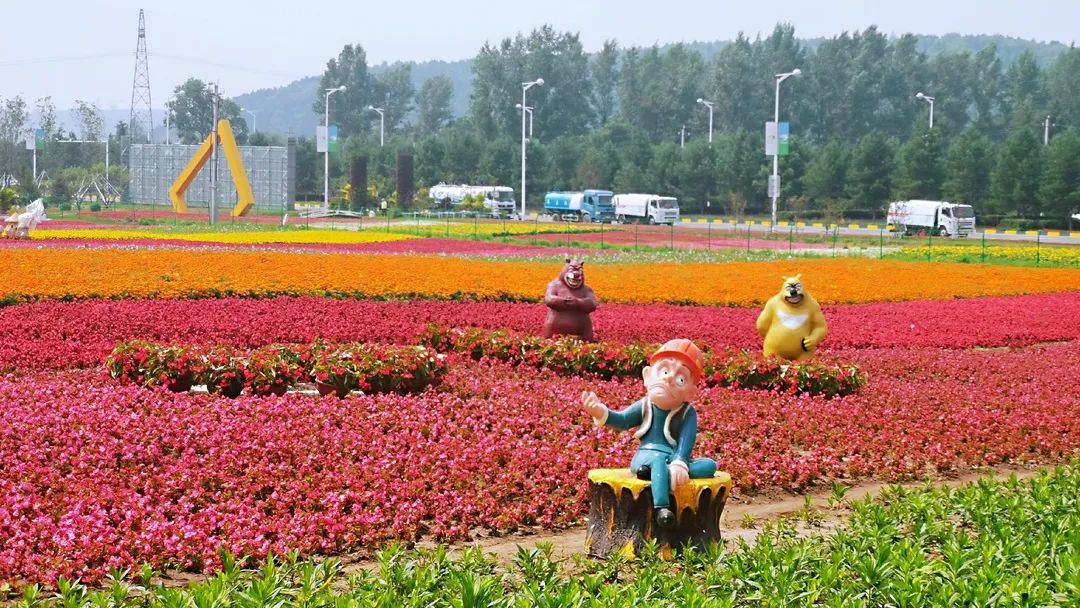 全城最美丽的花海正在盛放一起去莲花山听花开的声音