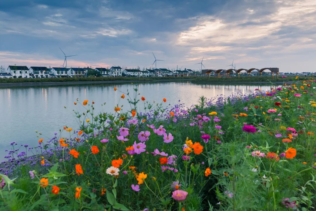 玩转夏天相城这个网红打卡点安排上了